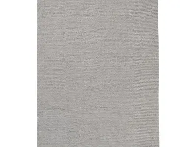 DAXA MERINO WOOL RUG 3D model