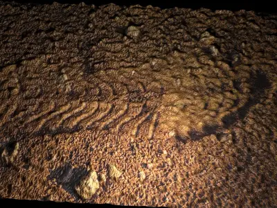 Astronauts Footprint On Mars 3D model