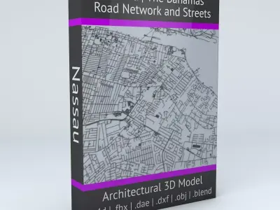 Nassau Road Network and Streets 3D model