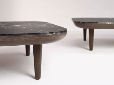 Fly Table 3D model