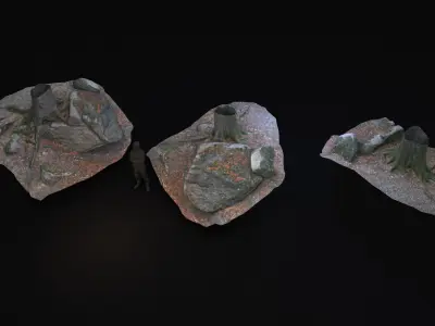 Beech forest ground - 4 o 6 - scan PBR Game ready Collection Low-poly 3D model