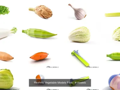 Realistic Vegetable Models Pack