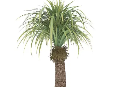 Small Palm Tree 3D model