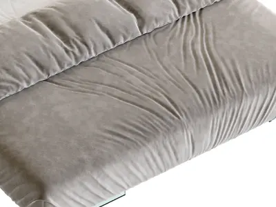 Air Wildwood Bed - Lago 3D model