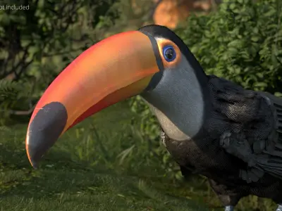  Large Toco Toucan Fur Rigged For Blender 