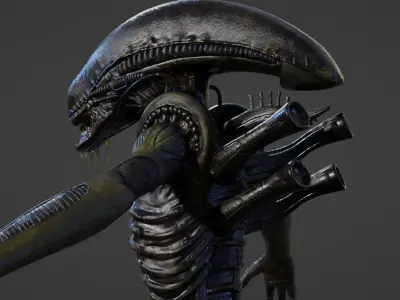 Alien - Xenomorph 3D model