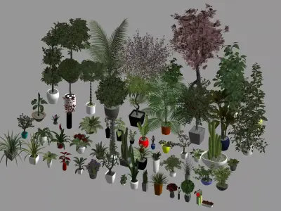 3D Plants Family Revit model 3D model