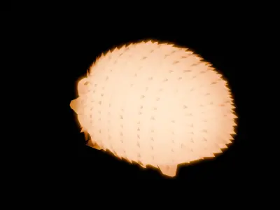 Indirect lighting for hedgehog 3D model
