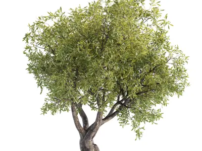 tree 01 3D model
