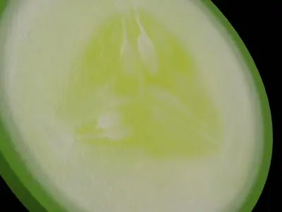 Slice of Pickle Low-poly 3D model