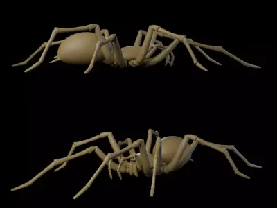 Artist Mannequin Spider Rigged 3D model