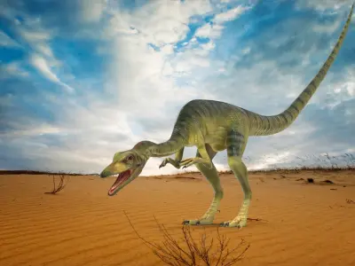  Carnivorous Dinosaurs Rigged for Maya Collection 2 