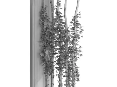 Room Divider Planter 02 3D model