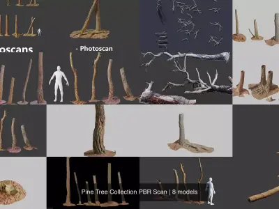 Pine Tree Collection PBR Scan 3D Model Pack
