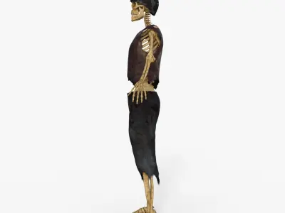 Scary Skeleton  3D model