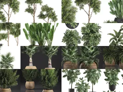 Collection of plants in pots for street and interior decor 3D Model Pack