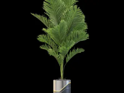 Plants collection 874 3D model