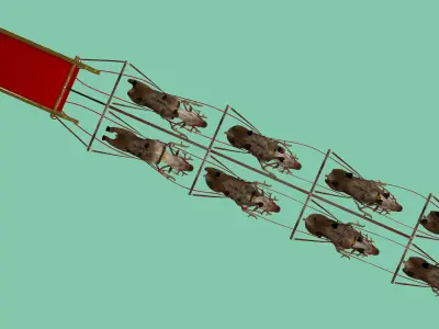  Santa in Sleigh with Reindeers 