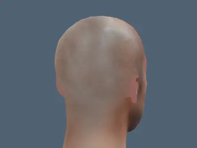 Male head Realistic Perfect Head  Low-poly 3D model