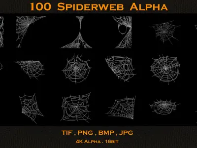 100 Spiderweb Alpha 3D model