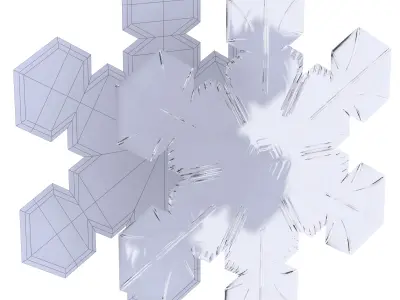 Snowflakes 3D model