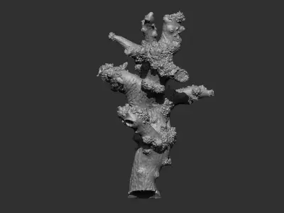 Tree Branch IMM OBJ Brushes 13 in one  3D model