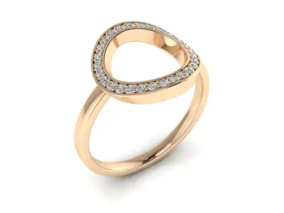 Ring 102 3D print model