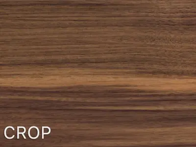 Walnut wood veneer texture Texture