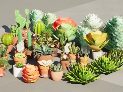 Potted Cactus and Succulent 3D Collection Low-poly 3D model