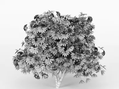 Rhododendron tree with flowers 3D model