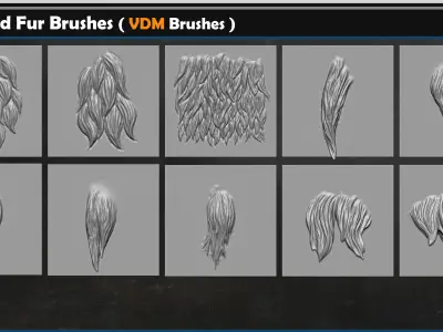  Hair and Fur Brushes Vol 02 Texture