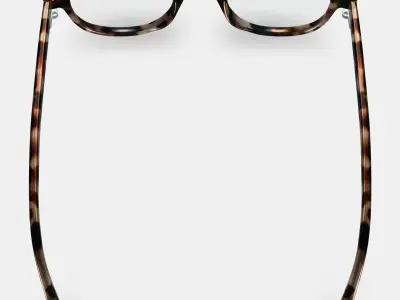 Caswell Eyeglasses in Biscotti Tortoise 3D model