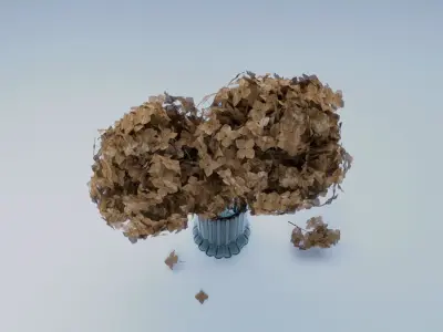 Dry Hydrangea Flowers 3D model Free 3D model