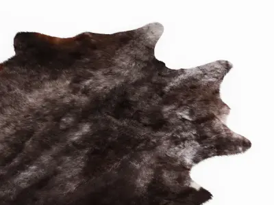Cowhide Leather Rug 3D model
