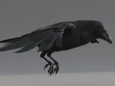  Raven Animated 