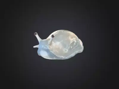 Hydro Slug Low-poly 3D model