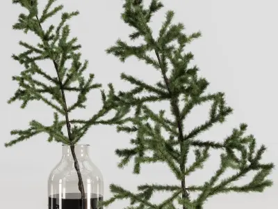Collaction Plants Bouquet 20 pine  3D model