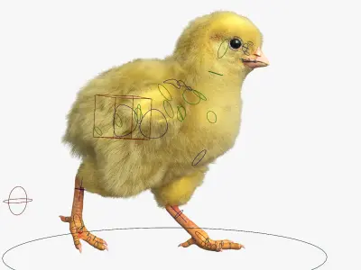  Baby Chick Fur Rigged For Blender 