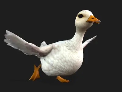 Duck_A1