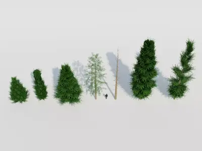 Spruce Fir Trees pack Low-poly 3D model