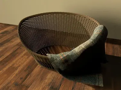 cat basket in nanny afternoon light 3D model
