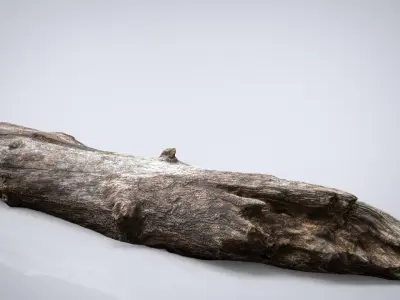 DEAD TREE TRUNK Low-poly 3D model