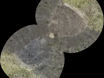 Low poly rock trilobite from neoproterozoic of california Free low-poly 3D model