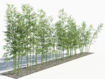  Bamboo Trees 3 (+GrowFX) 