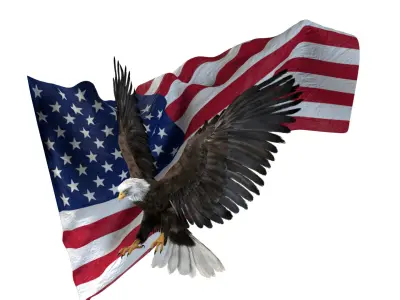  American Eagle Fur Animated Rigged 3D 