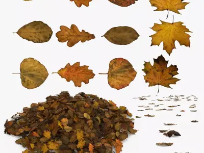 Autumn Old Leaves Trash Low-poly 3D model