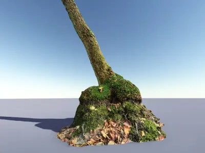 Mossy Tree Collection - Processed Scans PBR 4K Low-poly 3D model