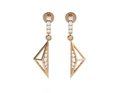 Light wt Women Diamond Earrings  3D print model