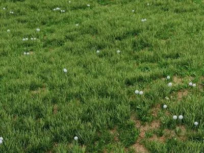 Grass For Landscaping Exterior 02 3D model