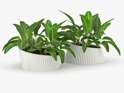 LENA Banana 3D model